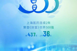 医药世界,探索创新与传承的医药发展历程