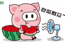 娱乐吃瓜酱好运,揭秘明星幕后故事，带你领略娱乐圈的神秘魅力