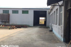 昌邑房屋出租信息最新,多样化房源满足不同需求