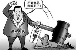 民事附带刑事什么意思,犯罪行为与民事赔偿的并行处理机制