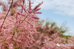 安排好行程娱乐吃瓜酱,尽享娱乐美食之旅