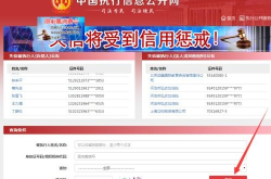 怎么查失信人员名单查询,快速了解失信行为信息