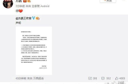乐华娱乐声明吃瓜,吃瓜群众如何解读娱乐圈风云
