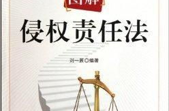 侵权责任法解读,法律条款、责任界定与司法实践