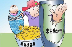 社会抚养费一般是多少,一般数额及影响因素