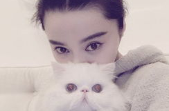 娱乐吃瓜猫欧阳娜娜,娱乐吃瓜猫的时尚之旅