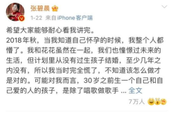 描写娱乐圈吃瓜文案短句,揭秘明星幕后风云