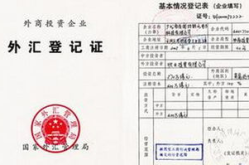 直接投资外汇管理信息系统,优化外汇管理，提升投资效率