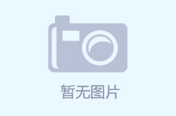 flash 官方下载,探索创意无限的多媒体制作之旅